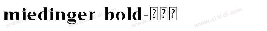 miedinger bold字体转换